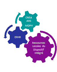 engrenages montrant les liens entre CNSA-ARS-MDPH et l'ERHR et les ressources locales du dispositif intégré